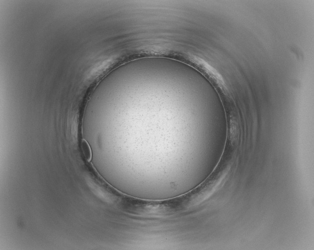 X0000115680493200911251755