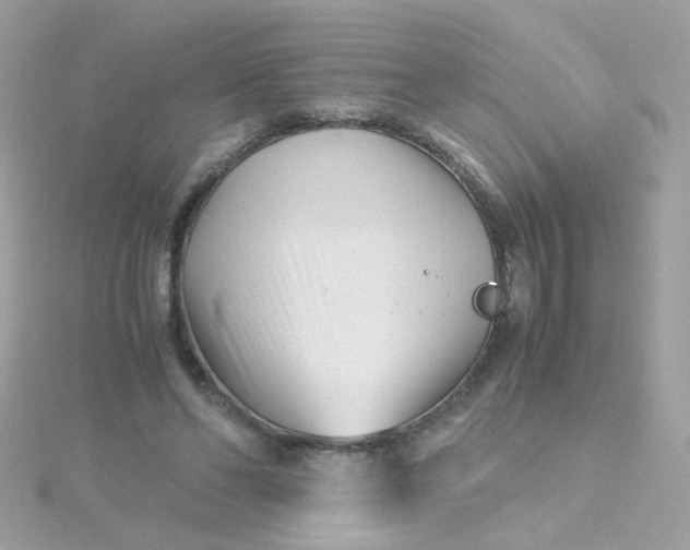 X0000115680494200911251755