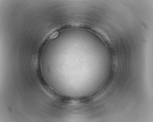 X0000115680496200911251755