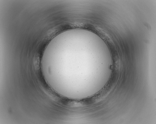 X0000115680498200911251755