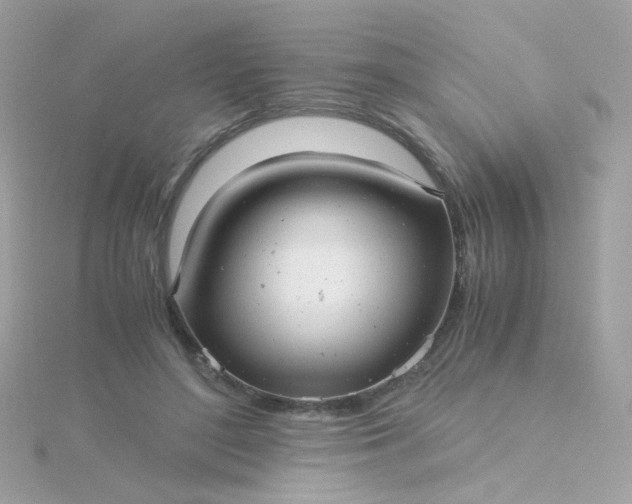 X0000115680500200911251755