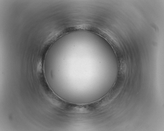 X0000115680502200911251755