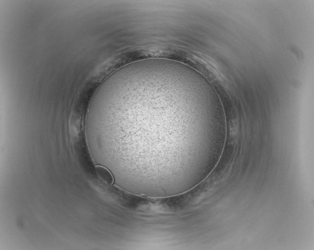 X0000115680503200911251755