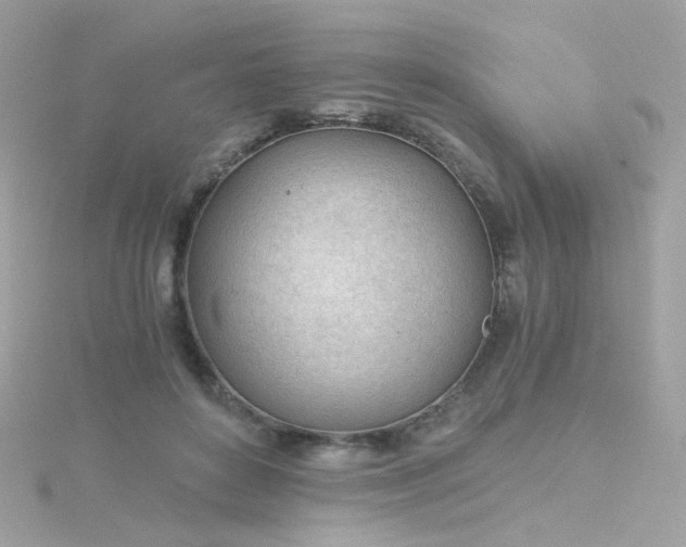 X0000115680504200911251755