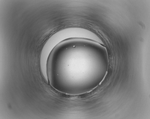 X0000115680505200911251755