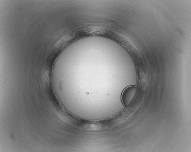 X0000115680506200911251755