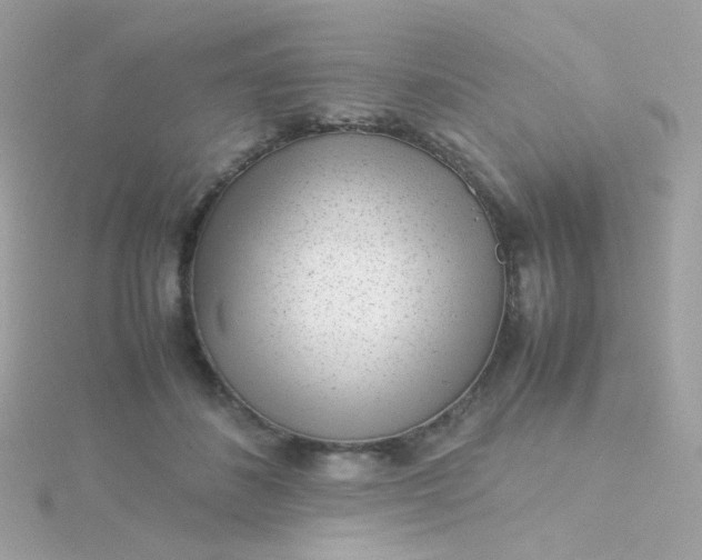 X0000115680508200911251755