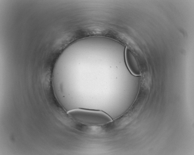 X0000115680509200911251754