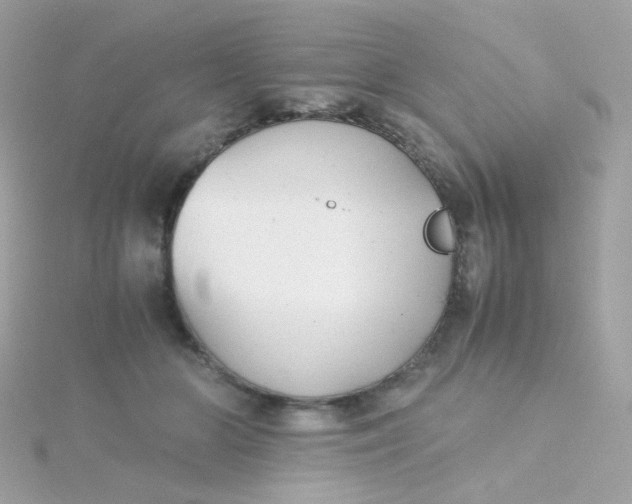 X0000115680510200911251754