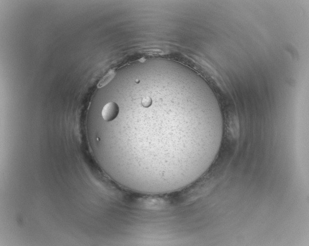 X0000115680512200911251754