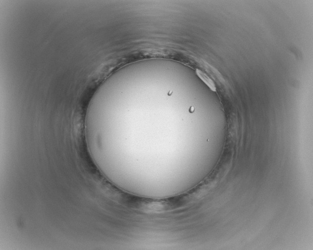 X0000115680513200911251754