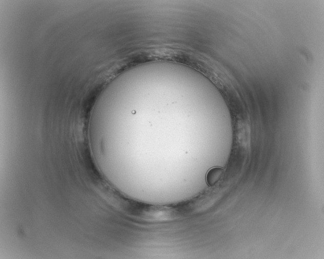 X0000115680514200911251754