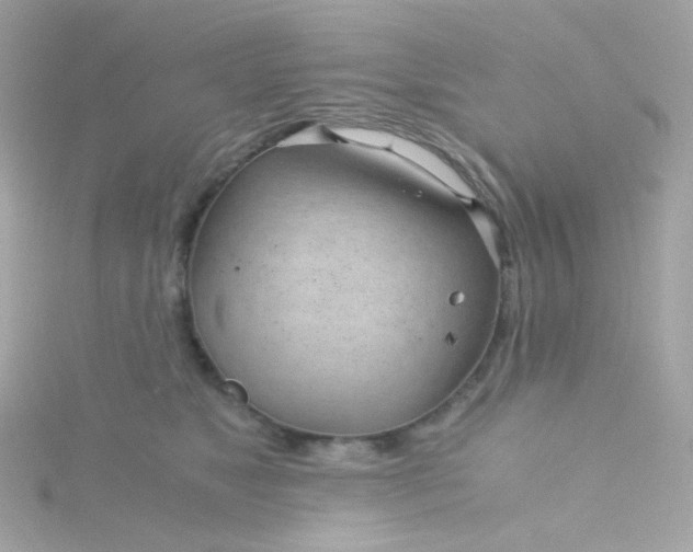 X0000115680517200911251754