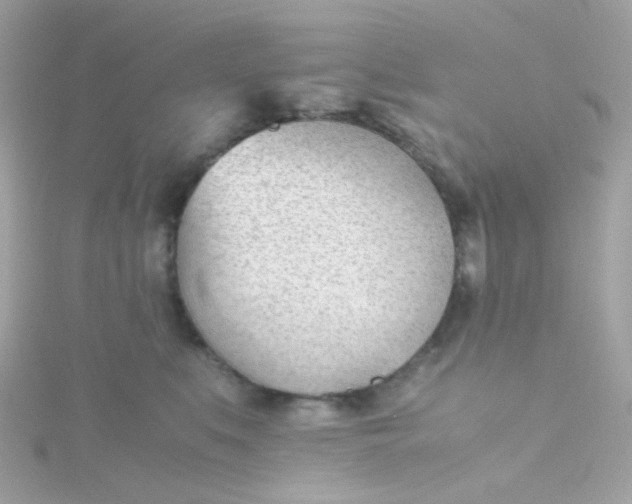 X0000115680519200911251754