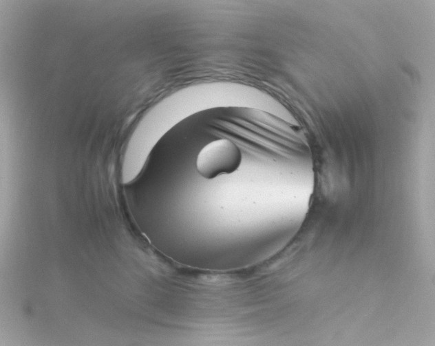 X0000115680520200911251754