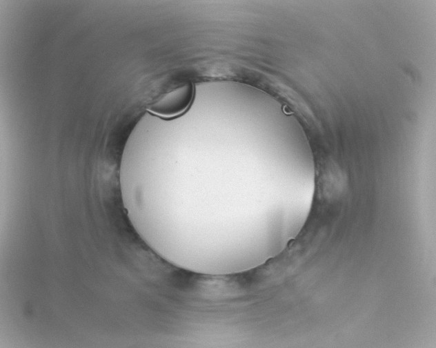 X0000115680521200911251754