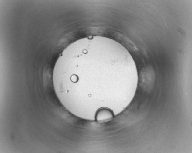 X0000115680522200911251754