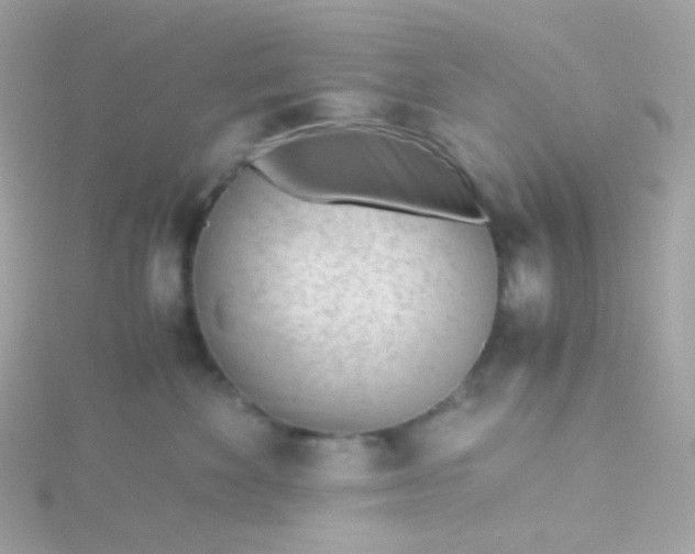 X0000115680524200911251754