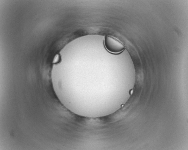 X0000115680525200911251754