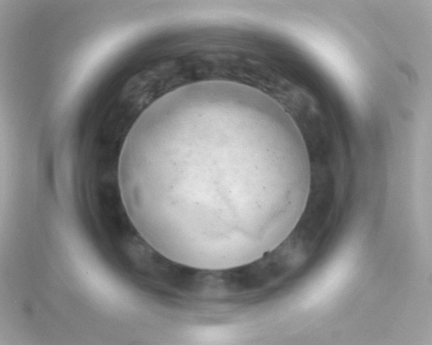 X0000115680526200911251754