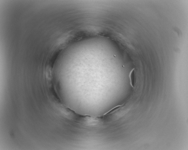 X0000115680528200911251754