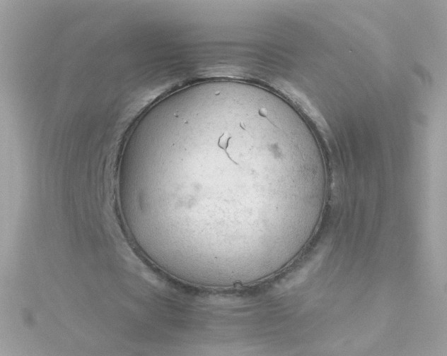 X0000115680529200911251754