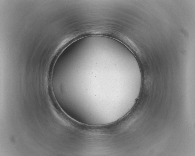 X0000115680530200911251754