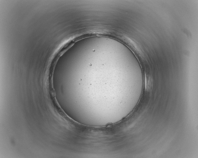 X0000115680531200911251754