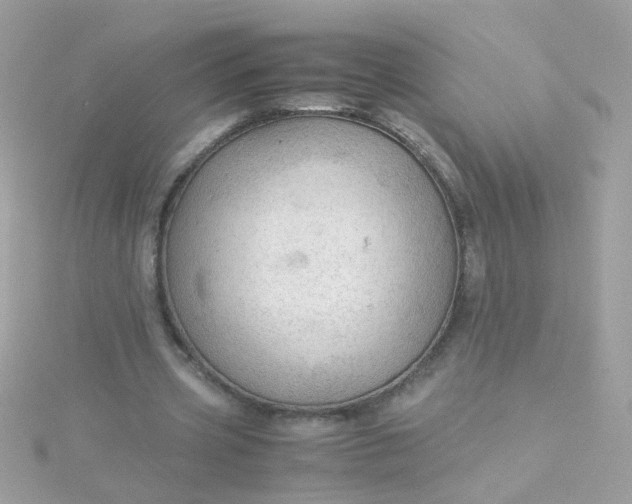 X0000115680533200911251754