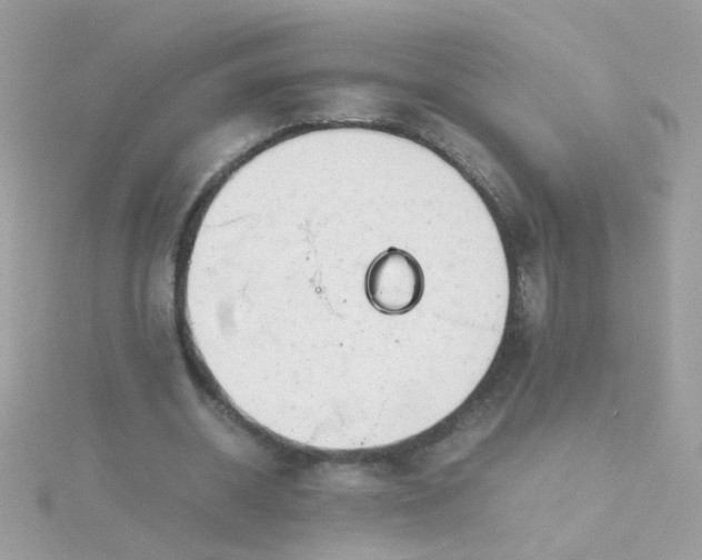 X0000115680534200911251754