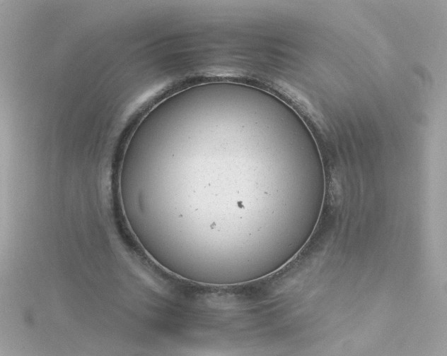 X0000115680535200911251754