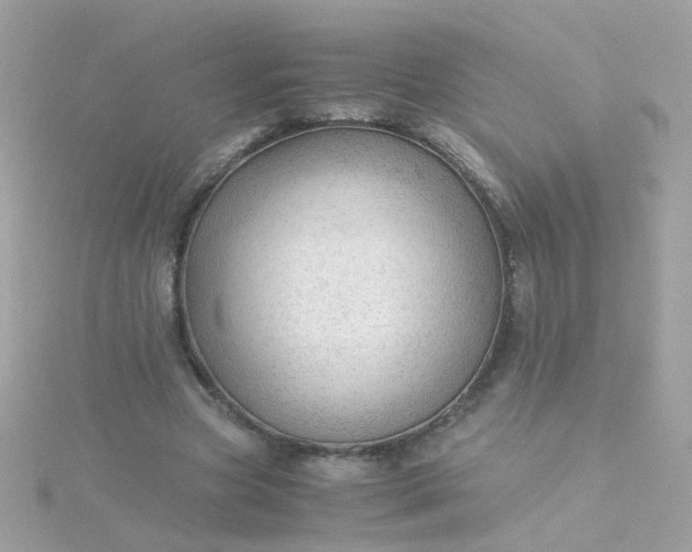 X0000115680537200911251754