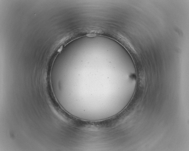 X0000115680538200911251754