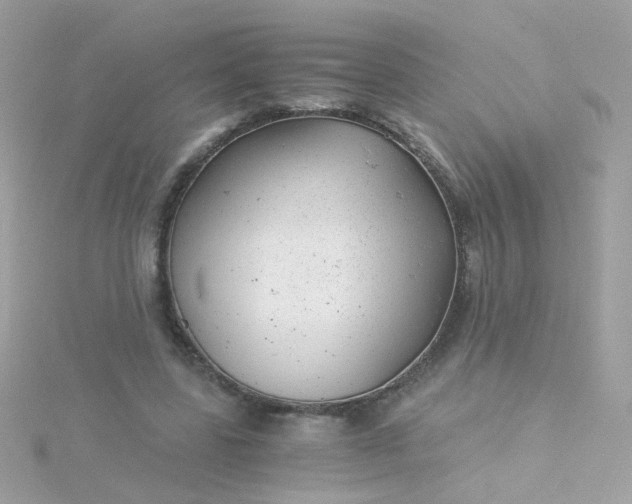 X0000115680539200911251754