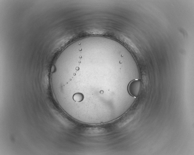 X0000115680541200911251754