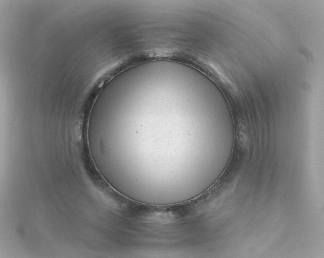 X0000115680543200911251754