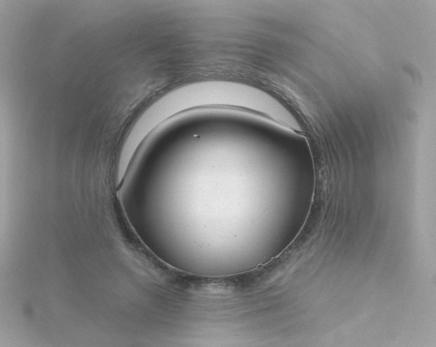 X0000115680546200911251754