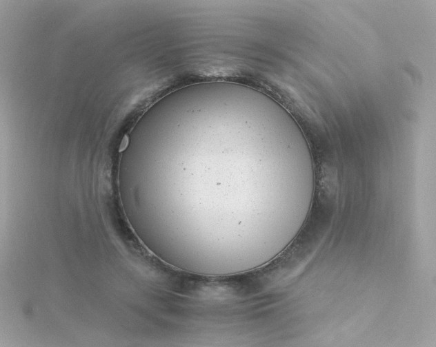 X0000115680547200911251754