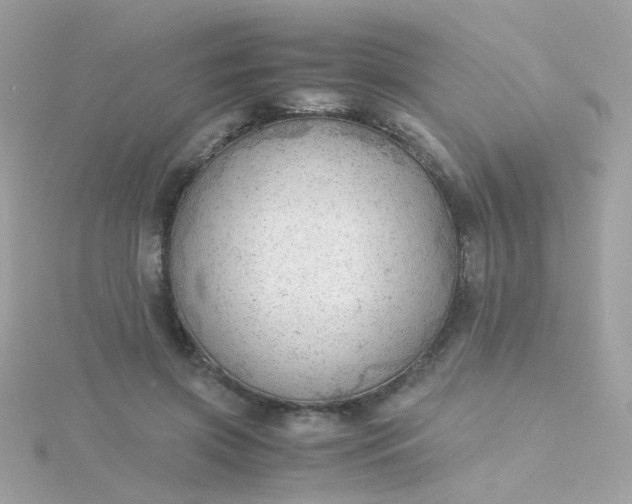 X0000115680549200911251754