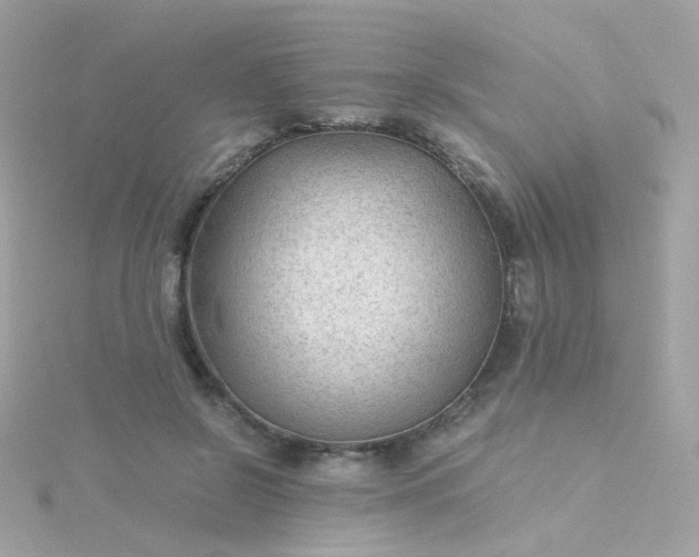 X0000115680550200911251754