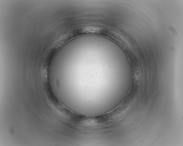 X0000115680551200911251754