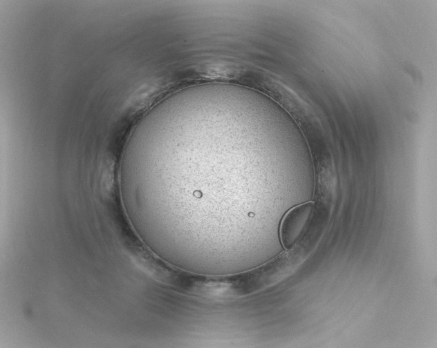 X0000115680554200911251754