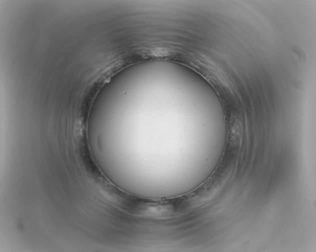 X0000115680555200911251754