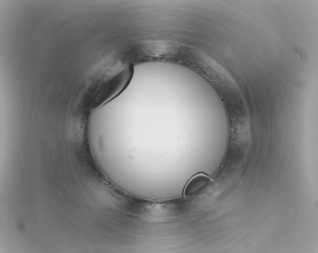 X0000115680558200911251754