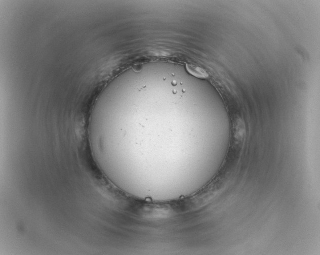 X0000115680559200911251754