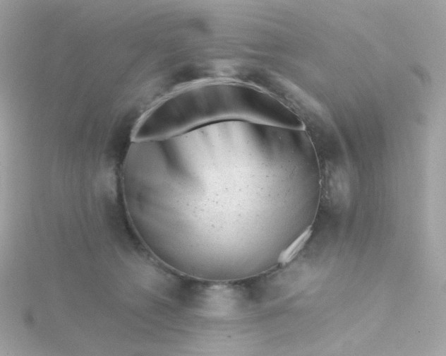 X0000115680562200911251754