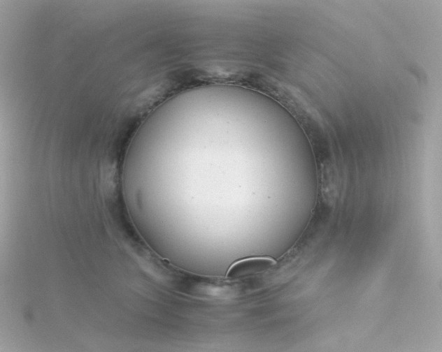 X0000115680563200911251754