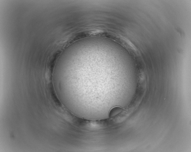 X0000115680565200911251754