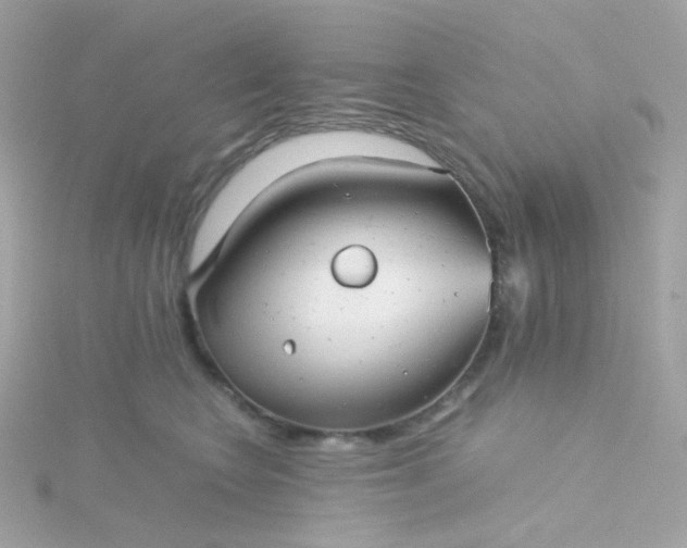 X0000115680566200911251754