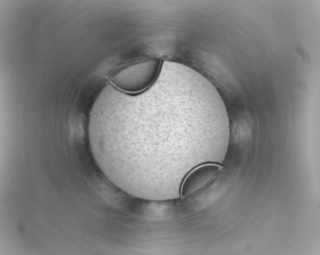 X0000115680570200911251754